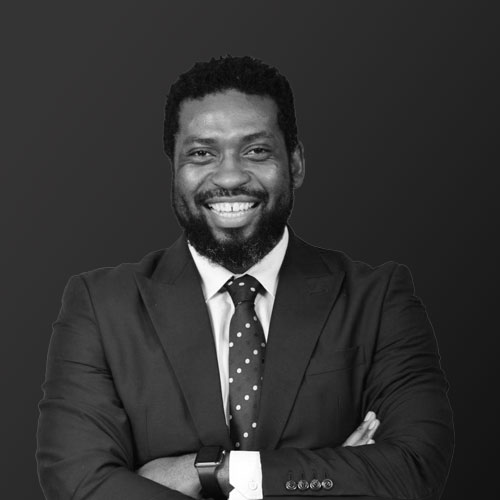 Mr. Buti Manamela portrait